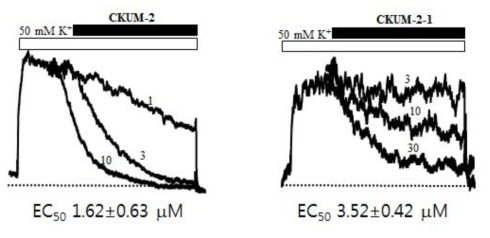 CKUM-2와 CKUM-2-1의 혈관이완 효과 (High K+ induced)