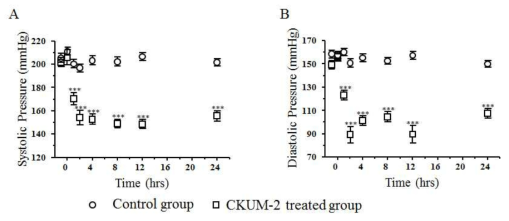 CKUM-2의 고혈압 억제 효과
