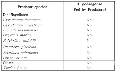 독성 편모류 Alexandrium pohangense와 A. pohangense를 잠재적으로 포식할 확률이 높은 편모류 및 섬모류를 함께 배양하여 확인한 포식 유무 실험 결과
