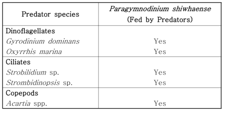 와편모류 Paragymnodinium shiwhaense를 포식함이 확인되어, P. shiwhaense의 포식자로서 실험에 사용된 와편모류, 섬모류 및 동물성플랑크톤에 대한 정보 (Jeong et al. 2017)