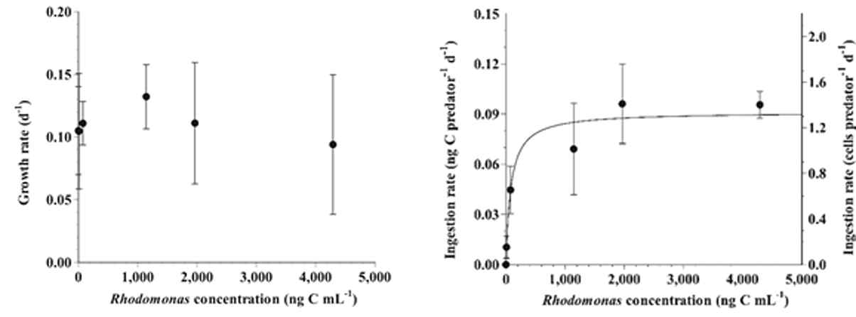 혼합영양성 와편모류 Thecadinium kofoidii이 저서성 은편모류인 Rhodomonas salina를 섭식하였을 때 성장률(Growth rate)과 섭식율(Ingestion rate) 그래프 (Yoo et al. 2018b)