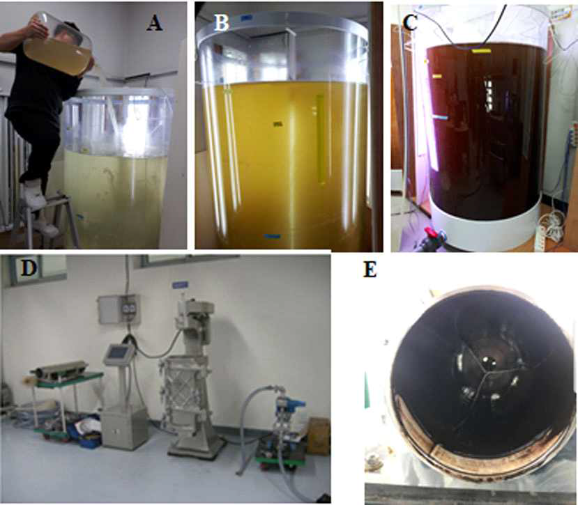 대량배양 시스템 구축 (A) 대량배양 1톤 용기에 유용 해양원생생물 초기접종 및 배양, (B) 중기배양, (C) 말기 배양, (D) 고속 연속원심분리기, (E) 수확