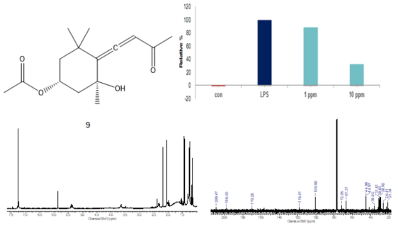 화합물 9의 화학구조 와 수소/탄소 NMR 스펙트럼 및 화합물 활성