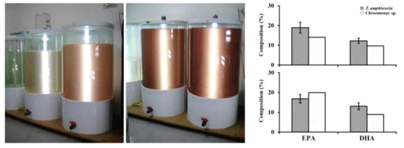 은편모류의 500 L급용기에서 대량배양 및 영양품질 비교 (Lee et al. 2019)