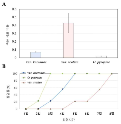 Olpidiopsis 감염에 HR 유사반응 분석. A. 각 Olpidiopsis 감염에 따른 세포 사멸률. B. 각 Olpidiopsis 균주에 의한 숙주 해조류의 감염 경과