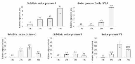 Olpidiopsis porphyrae var. koranae의 감염 시간에 따른 serine protease의 발현 분석