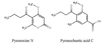 Pyrenocine N과 Pyrenochaetic acid C의 화학 구조식