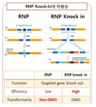 기존 RNP 방식과 RNP　Knock-In 기법의 장단점 비교