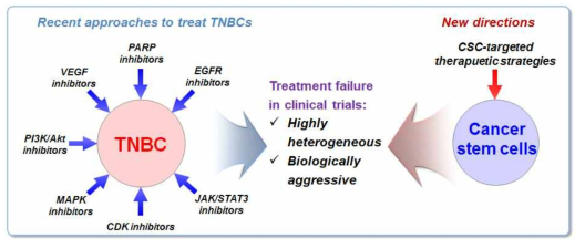 삼중음성유방암 표적치료제 개발 문제점 및 향후 개발 방향