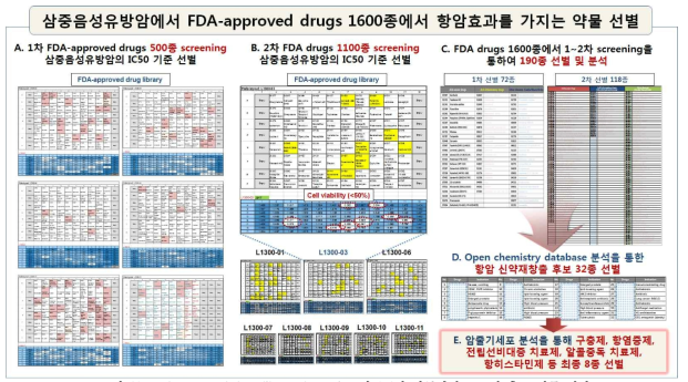 FDA-approved drug library Screening 및 1~2차 암줄기세포 표적 후보 약물 선별