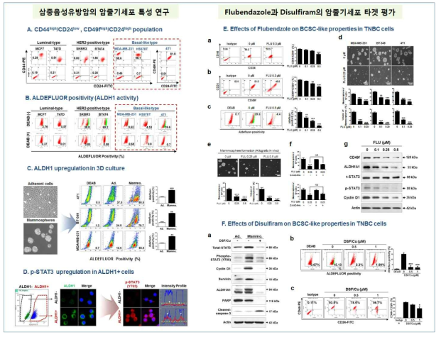 A-D, 삼중음성유방암세포(TNBC; MDA-MB-231, Hs578T, BT-549 and 4T1)의 암줄기세포 특성. E-F, Flubendazole 및 Disulfiram의 암줄기세포 억제 효과를 mammosphere assay, CD44high/CD24low 및 ALDH1 activity로 분석