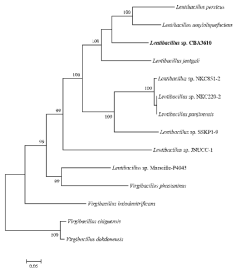 Genome sequnce를 바탕으로 Phylogenic tree