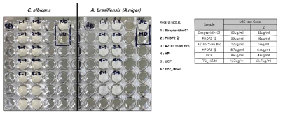 후보 단백질 6종의 MIC 실험 결과