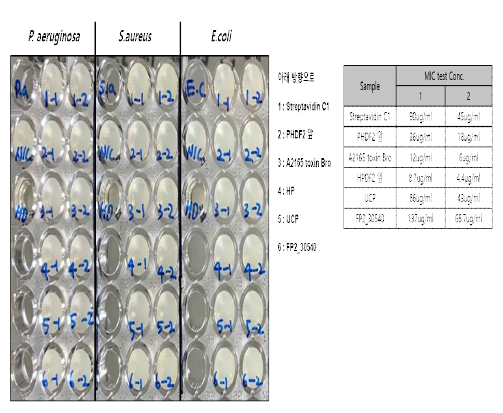 후보 단백질 6종의 MIC 실험 결과