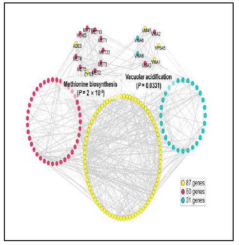 선별된 168개 유전자에 대한 Genetic network 모식도