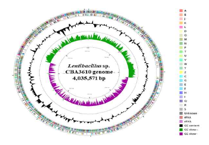 Circular map of the Lentibacillus sp. CBA3610