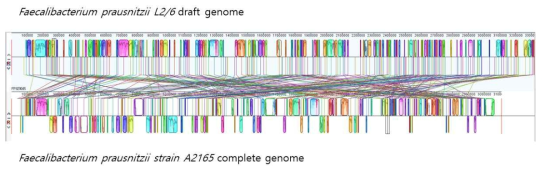 아토피기반 2가지 균주의 genome alignment를 통한 비교 분석