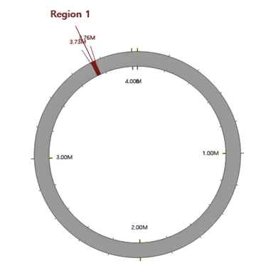 Prophages in the CBA3610 genome