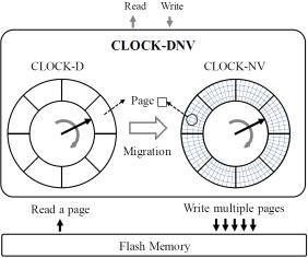 CLOCK-DNV 구조