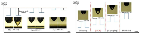 Applied voltage 공정 변수 변화에 따른 Taylor cone 변화 양상 관찰 결과 peak-to-peak voltage의 영향(좌), baseline voltage의 영향(우)