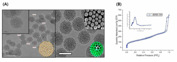 (A) MSN과 dMSN의 구조 차이 (B) dMSN의 N2 adsorption