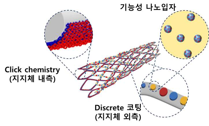 심혈관 중재용 융해성 고분자 융합지지체의 내/외측 표면처리