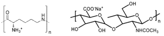 Poly(L-lysine)과 Hyaluronic acid의 구조