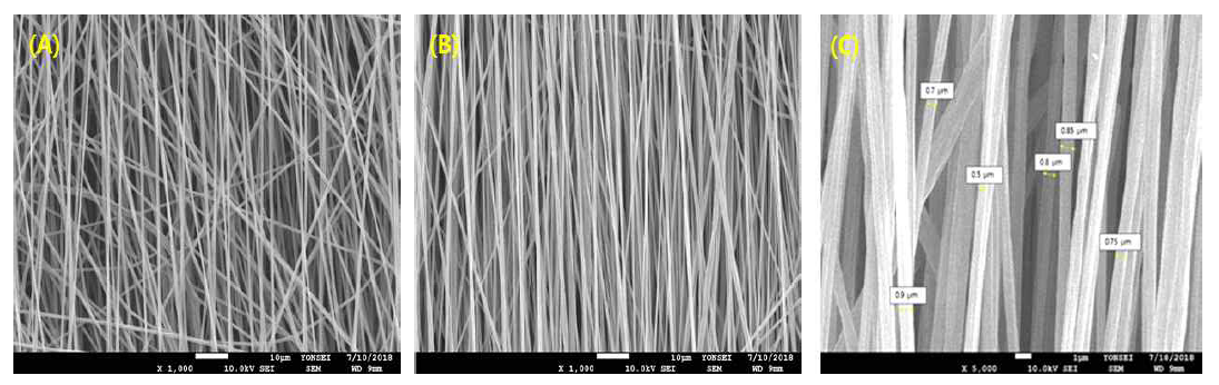 전기방사를 이용해 제조한 PLLA 나노섬유 (A) PLLA 10 w/v% 용액 조건(Chloroform:DMF=4:1) (B) PLLA 8 w/v% 용액 조건(Chloroform:DMF=4:1) (C) PLLA 8 w/v% 용액 조건(Chloroform:DMF=4:1)에서의 섬유 두께 측정