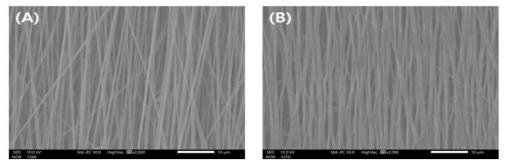 PLLA 전기방사된 나노섬유의 열부착 전(A)과 후(B)의 SEM 이미지