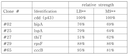 Screening promoter의 identification 및 p43과의 상대적인 transcription level