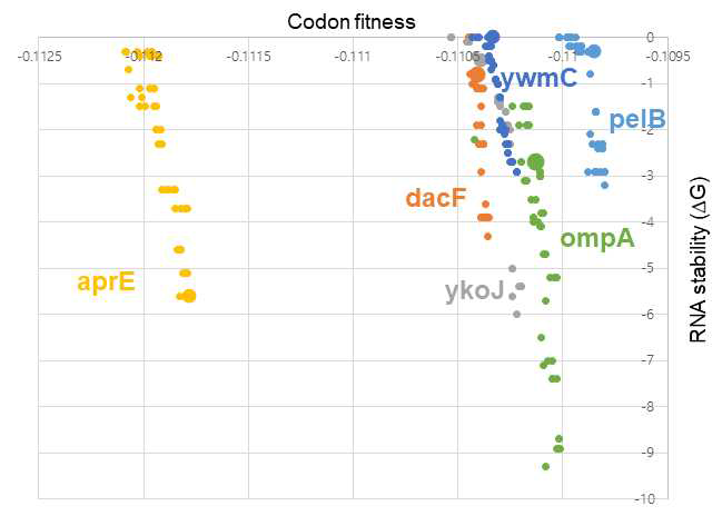 선택된 leader sequence를 coding 하는 DNA 서열들의 codon context fitness와 RNA stability