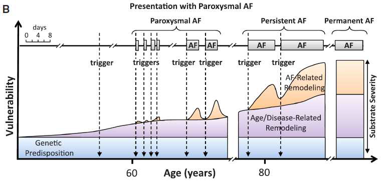 심방세동은 진행(progression)하는 질환으로 발작성(paroxysmal)에서 시작해 지속성(persistent)을 거쳐 영속성(permanent)으로 변화하며 이에 따라 치료가 점점 어려워짐. (Circ Res. 2014;114:1483-1499.)