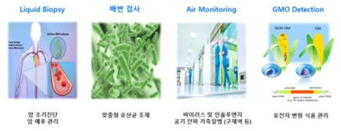 digital PCR 의 활용