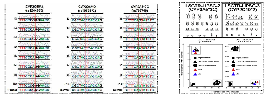 유도만능줄기세포주의 DNA sequence 확인 및 핵형/genotying 분석을 통한 검증