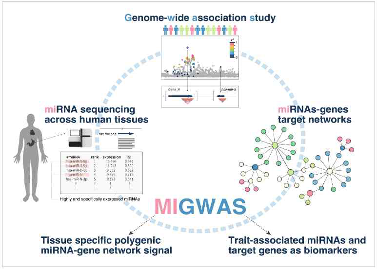 miRNA와 Genome study와의 협력체계