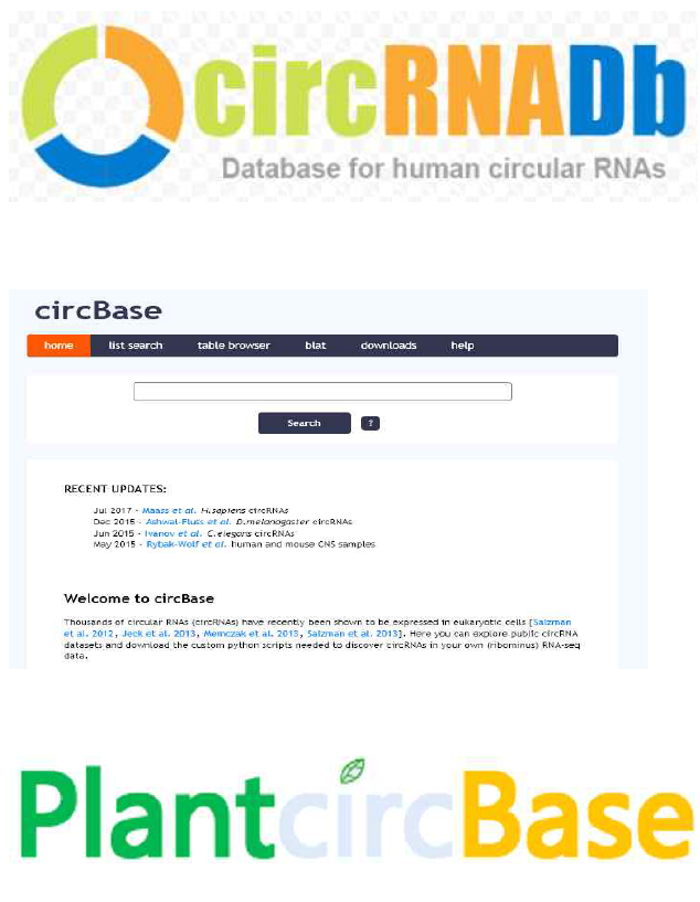 여러 circRNA의 DATABASE