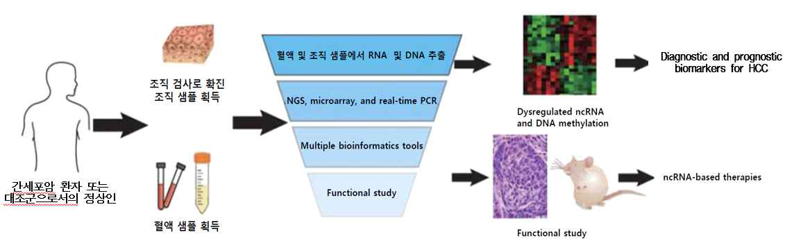 본연구의 개괄적인 모식도