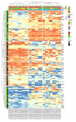 재발 예측과 관련한 heatmap