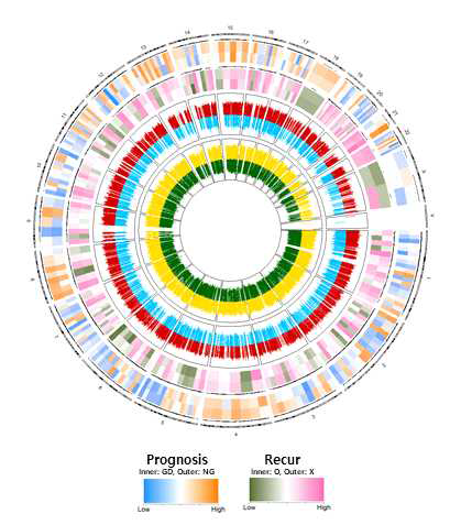 재발/예후 예측과 관련한 circos plot
