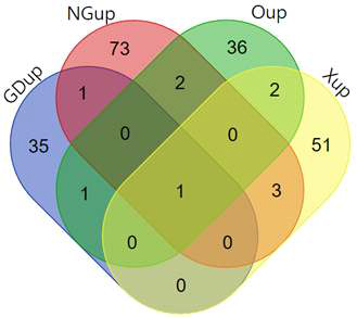 재발/예후 예측과 관련한 Venndiagram