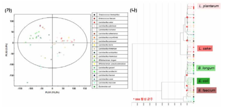 64종 유산균 혐기 배양액 추출물의 UHPLC-LTQ-Orbitrap-MS 분석 기반 다변량 통계분석 결과. (가) PLS-DA, (나) HCA