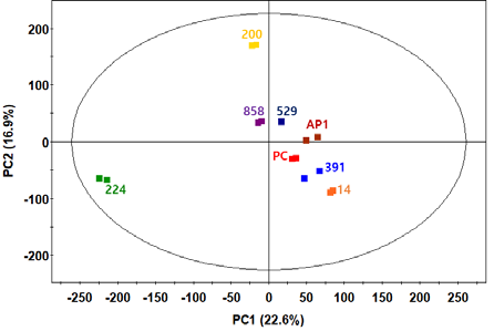 DSS 유도 염증성장질환 마우스 모델의 후보 프로바이오틱스 처리 분변 대사체 GC-TOF-MS 분석 기반 다변량 통계분석(PCA) 결과