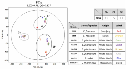 GC-TOF-MS기반 8종 유산균의 세포 내 대사체 다변량 통계분석 결과