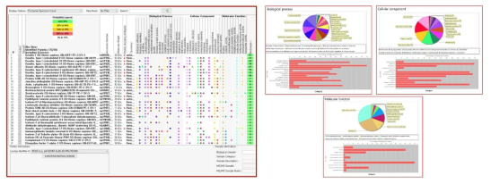 수포성각막병증 환자의 치료용 렌즈에서 추출된 단백질 분석（proteome analysis)