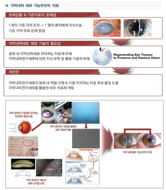 연구 개념도