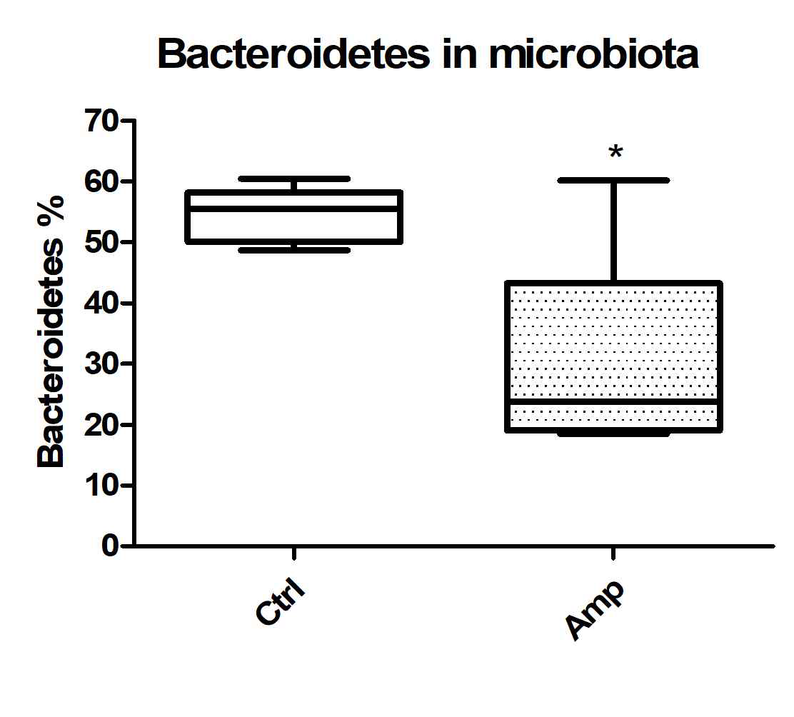 항생제로 인한 분변 균총의 Bacteroidetes phylum의 비율 변화, *p<0.05