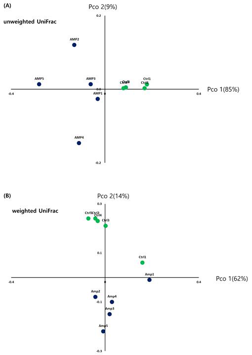 정상식이군과 항생제식이군 균총 분석을 통한 PCoA 결과. (A) Unweighted UniFrac을 적용한 PCoA 결과. (B) Weighted UniFrac을 적용한 PCoA 결과