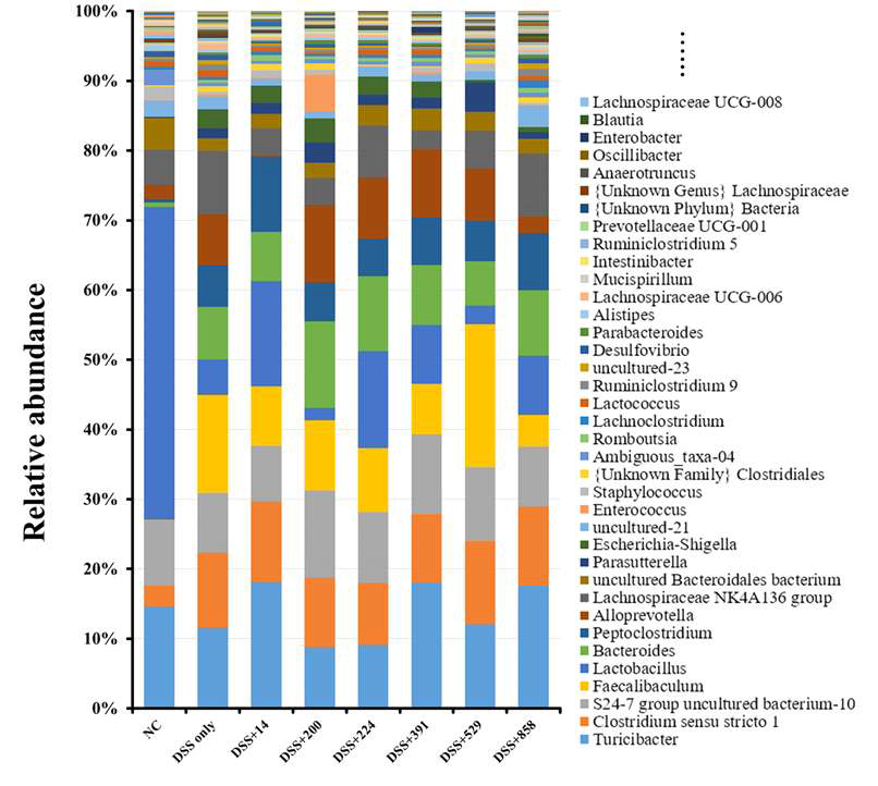 DSS 처리 IBD 유도 마우스 모델의 분변 미생물총 변화 분석 결과. Genus level. Database: SILVA ribosomal RNA database v128