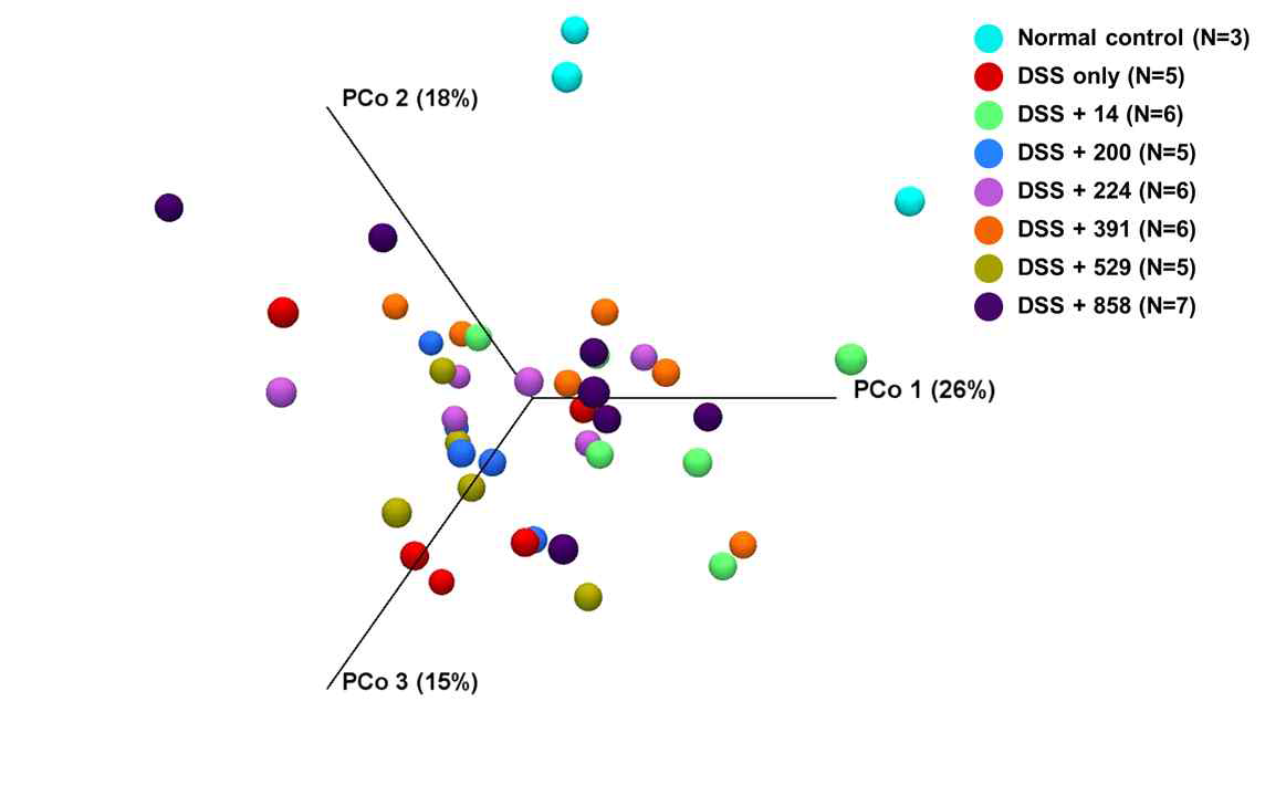 DSS 처리 IBD 유도 마우스 모델의 분변 미생물총 분석을 통한 PCoA 결과. Weighted UniFrac 적용