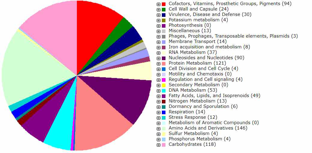 Lactobacillus fermentum 858의 genome annotaion 결과